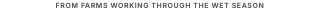 From farms working through the wet season